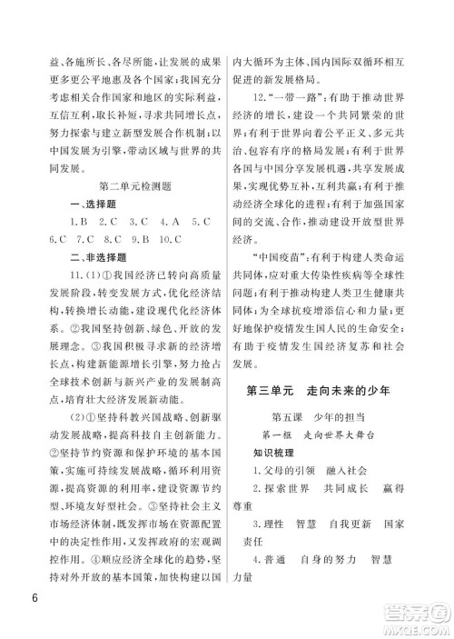 武汉出版社2024年春智慧学习天天向上课堂作业九年级道德与法治下册人教版答案