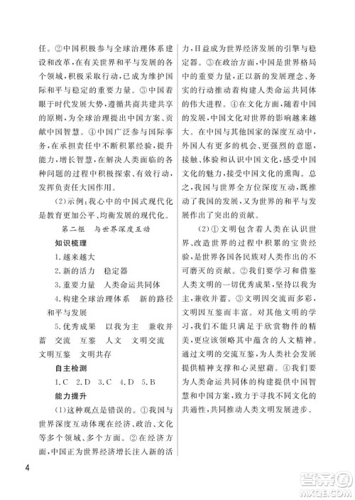 武汉出版社2024年春智慧学习天天向上课堂作业九年级道德与法治下册人教版答案