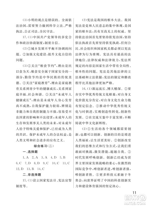 武汉出版社2024年春智慧学习天天向上课堂作业九年级道德与法治下册人教版答案