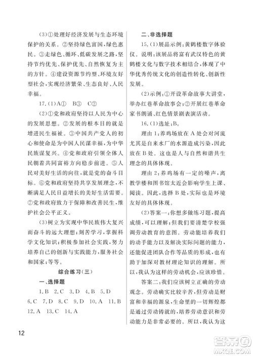 武汉出版社2024年春智慧学习天天向上课堂作业九年级道德与法治下册人教版答案