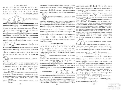 长江少年儿童出版社2024年春名校课堂内外九年级数学下册人教版参考答案