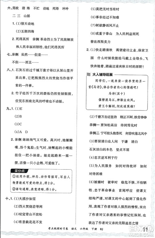 江西人民出版社2024年春王朝霞考点梳理时习卷六年级语文下册人教版答案