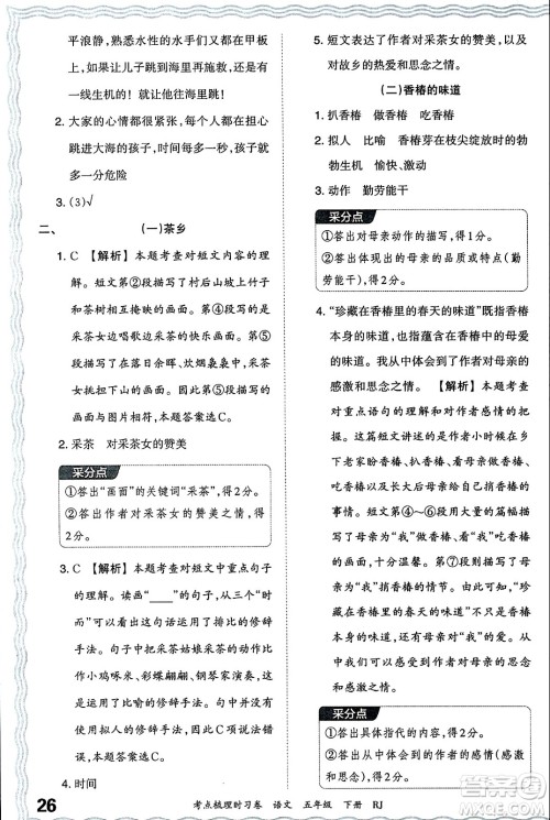 江西人民出版社2024年春王朝霞考点梳理时习卷五年级语文下册人教版答案