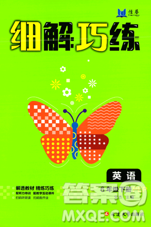 延边大学出版社2024年春细解巧练六年级英语下册人教PEP版答案