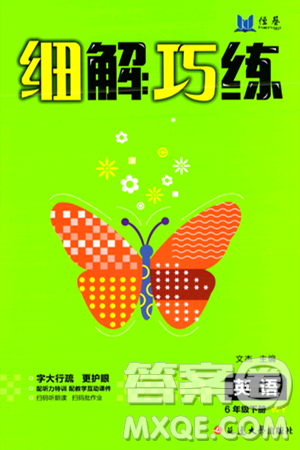 延边大学出版社2024年春细解巧练六年级英语下册外研版答案 延边大学出版社2024年春细解巧练六年级英语下册外研版答案