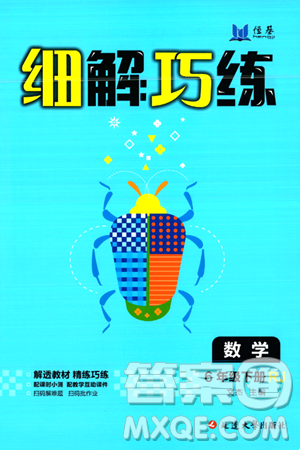 延边大学出版社2024年春细解巧练六年级数学下册人教版答案 延边大学出版社2024年春细解巧练六年级数学下册人教版答案