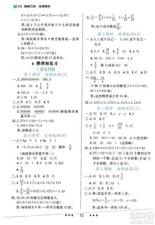 延边大学出版社2024年春细解巧练六年级数学下册人教版答案