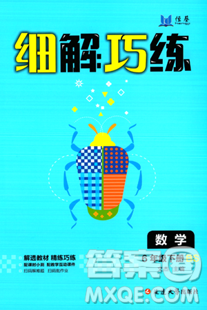 延边大学出版社2024年春细解巧练六年级数学下册北师大版答案