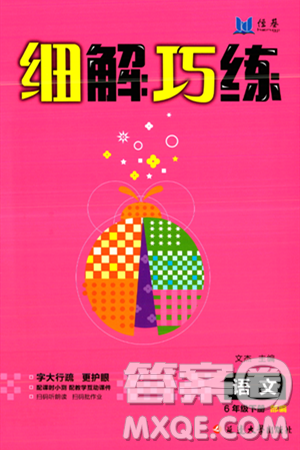 延边大学出版社2024年春细解巧练六年级语文下册部编版答案