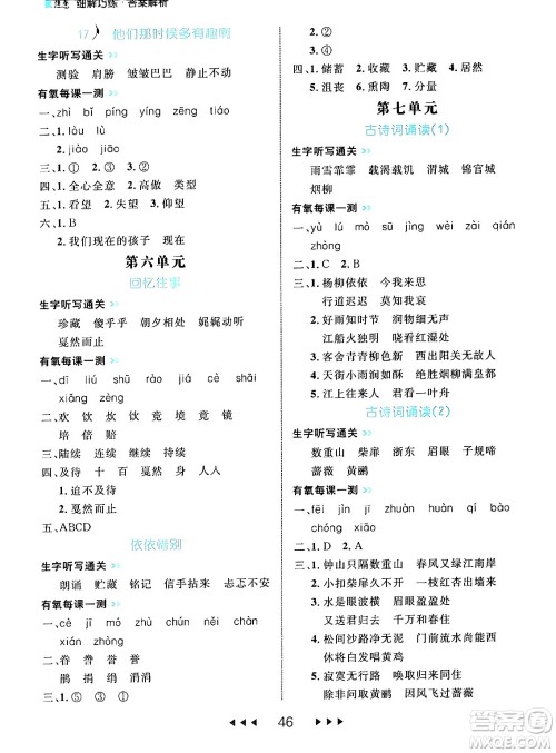 延边大学出版社2024年春细解巧练六年级语文下册部编版答案