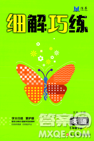 延边大学出版社2024年春细解巧练五年级英语下册外研版答案