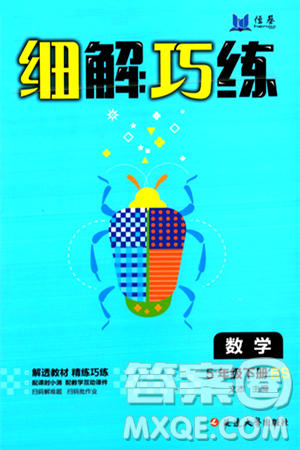 延边大学出版社2024年春细解巧练五年级数学下册北师大版答案