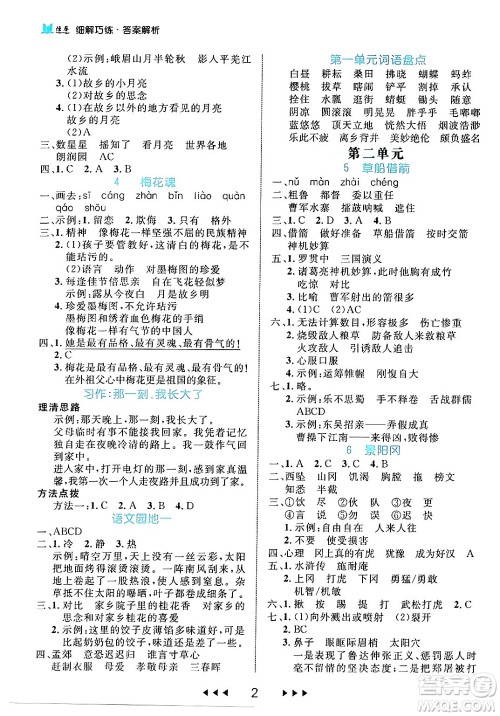 延边大学出版社2024年春细解巧练五年级语文下册部编版答案