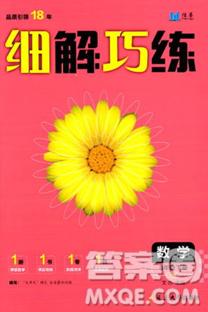 延边大学出版社2024年春细解巧练八年级数学下册人教版答案 延边大学出版社2024年春细解巧练八年级数学下册人教版答案