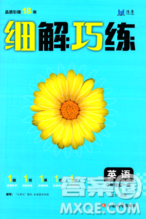延边大学出版社2024年春细解巧练九年级英语下册鲁教版答案