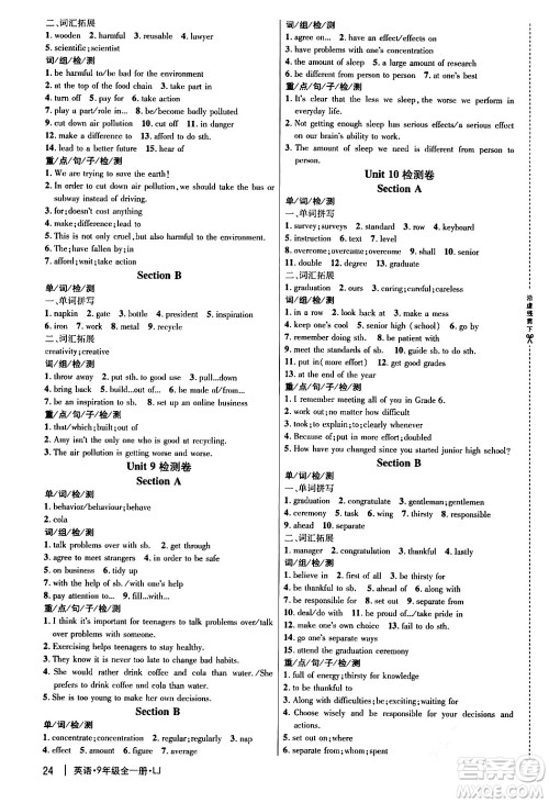 延边大学出版社2024年春细解巧练九年级英语下册鲁教版答案