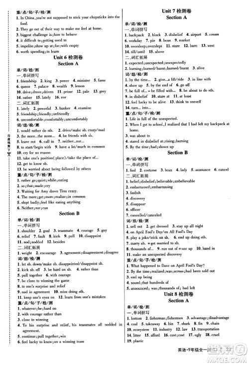 延边大学出版社2024年春细解巧练九年级英语下册鲁教版答案