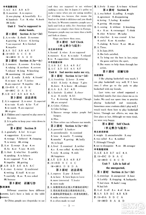 延边大学出版社2024年春细解巧练九年级英语下册鲁教版答案
