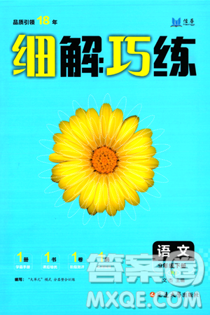 延边大学出版社2024年春细解巧练九年级语文下册人教版答案