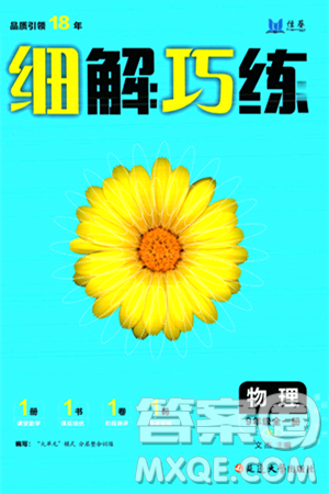 延边大学出版社2024年春细解巧练九年级物理下册人教版答案