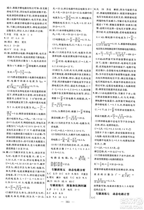延边大学出版社2024年春细解巧练九年级物理下册人教版答案