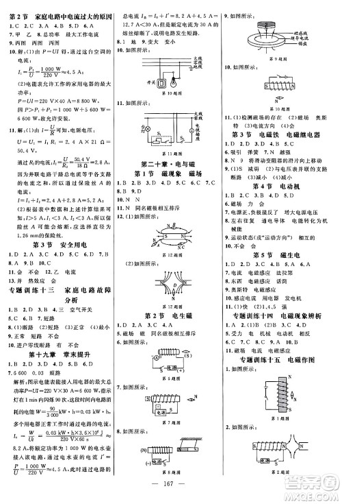 延边大学出版社2024年春细解巧练九年级物理下册人教版答案