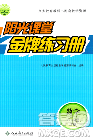 人民教育出版社2024年春阳光课堂金牌练习册六年级数学下册人教版答案