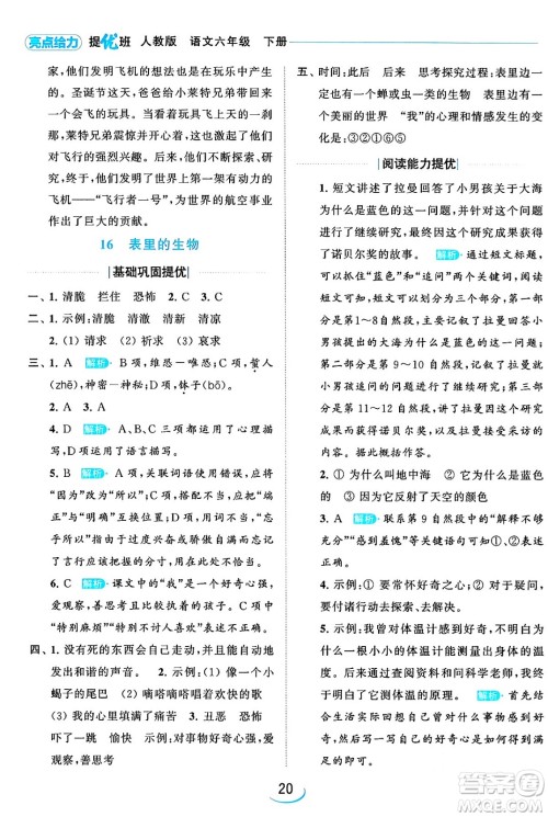 北京教育出版社2024年春亮点给力提优班六年级语文下册江苏版答案