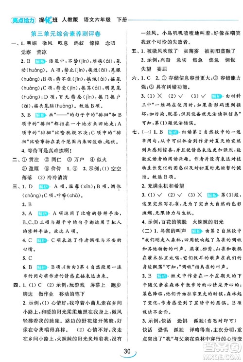 北京教育出版社2024年春亮点给力提优班六年级语文下册江苏版答案