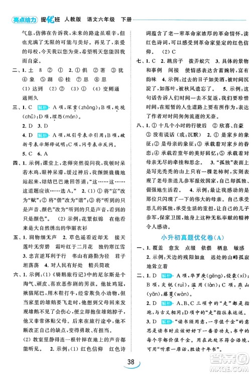 北京教育出版社2024年春亮点给力提优班六年级语文下册江苏版答案