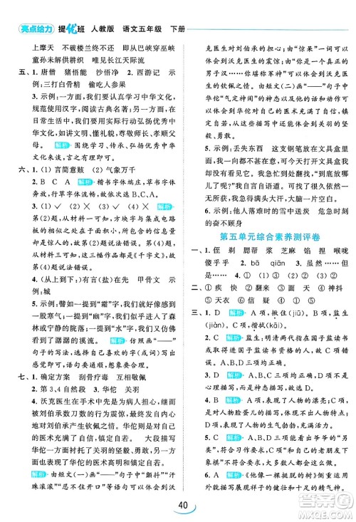 北京教育出版社2024年春亮点给力提优班五年级语文下册江苏版答案