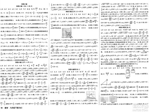 安徽师范大学出版社2024年春课时夺冠九年级数学下册人教版答案