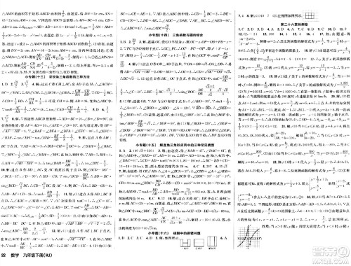 安徽师范大学出版社2024年春课时夺冠九年级数学下册人教版答案