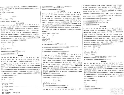 安徽师范大学出版社2024年春课时夺冠九年级化学下册人教版答案