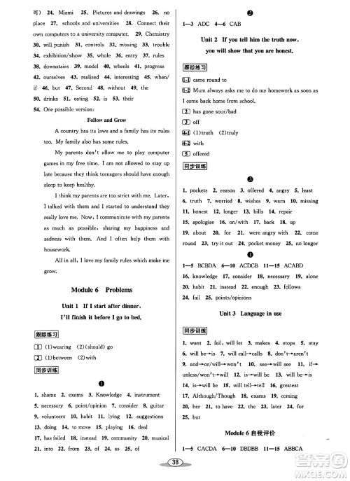 北京教育出版社2024年春教与学课程同步讲练九年级英语全一册外研版答案