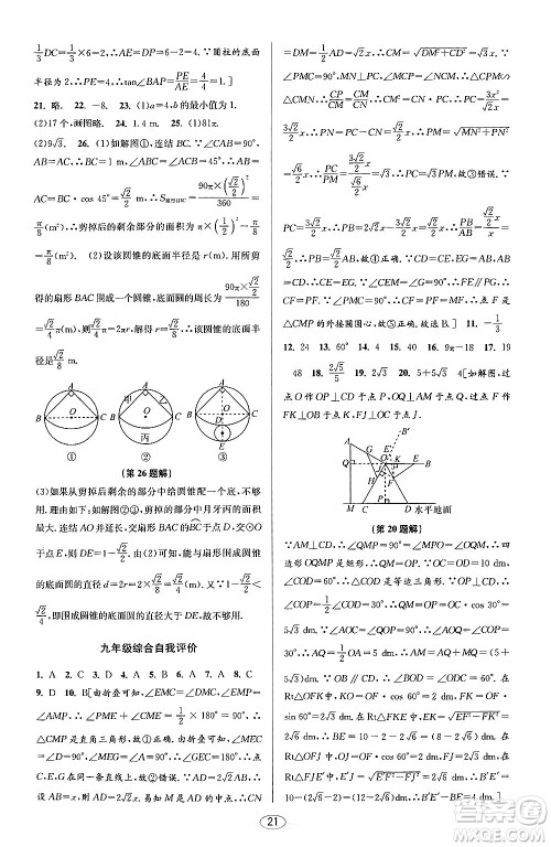 北京教育出版社2024年春教与学课程同步讲练九年级数学全一册浙教版答案