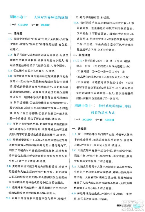 西安出版社2024年春53初中全优卷七年级生物下册人教版答案 西安出版社2024年春53初中全优卷七年级生物下册人教版答案