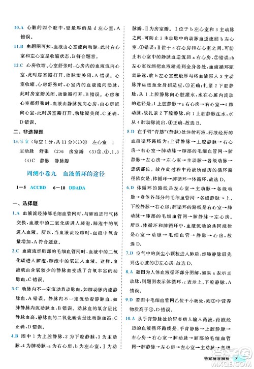 西安出版社2024年春53初中全优卷七年级生物下册人教版答案 西安出版社2024年春53初中全优卷七年级生物下册人教版答案