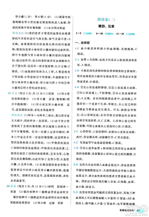 西安出版社2024年春53初中全优卷七年级生物下册人教版答案 西安出版社2024年春53初中全优卷七年级生物下册人教版答案