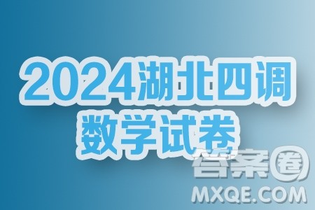 2024第九届湖北高三四月调研考试数学试卷答案