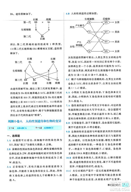 西安出版社2024年春53初中全优卷八年级生物下册人教版答案