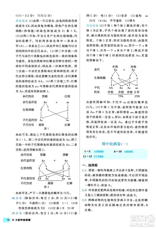西安出版社2024年春53初中全优卷八年级生物下册人教版答案