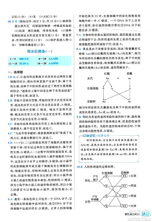 西安出版社2024年春53初中全优卷八年级生物下册人教版答案 西安出版社2024年春53初中全优卷八年级生物下册人教版答案