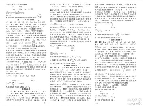 新疆青少年出版社2024年春原创新课堂九年级化学下册人教版河南专版参考答案