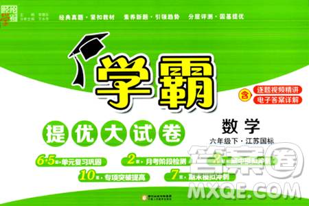 宁夏人民教育出版社2024年春学霸提优大试卷六年级数学下册江苏版答案 宁夏人民教育出版社2024年春学霸提优大试卷六年级数学下册江苏版答案