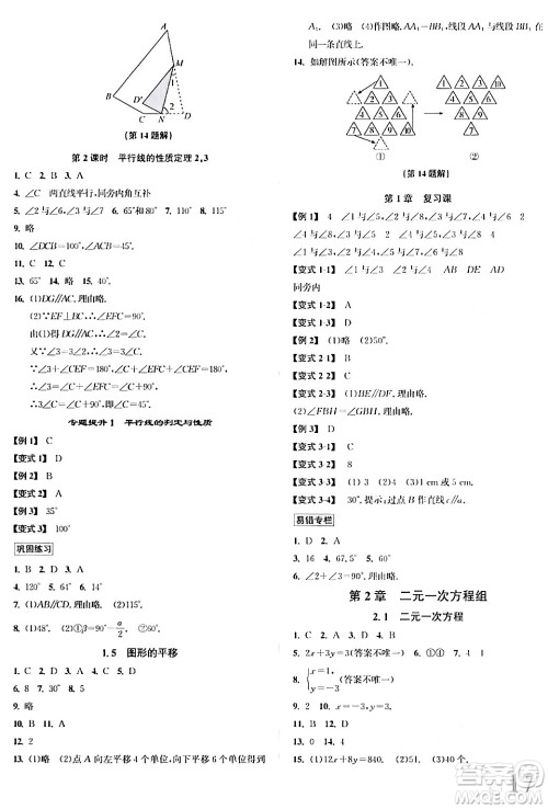 浙江教育出版社2024年春自主高效练七年级数学下册浙教版答案