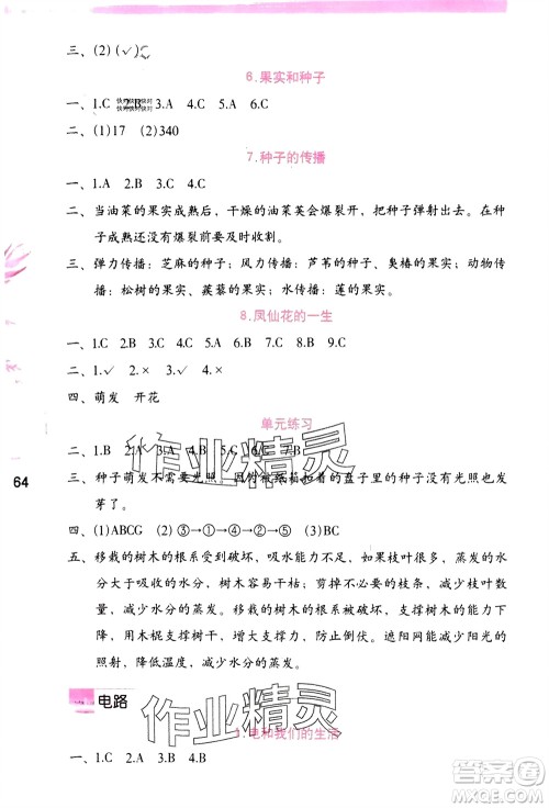 海燕出版社2024年春科学学习与巩固四年级下册教科版参考答案