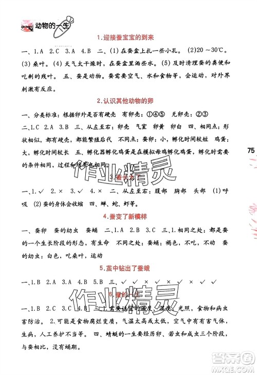 海燕出版社2024年春科学学习与巩固三年级下册教科版参考答案