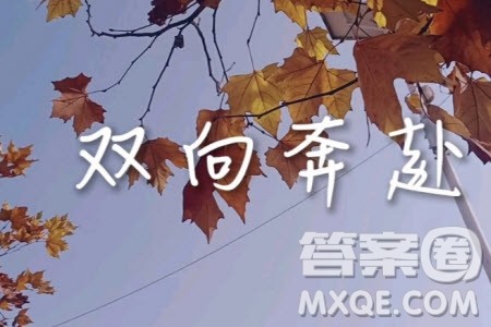 双向奔赴材料作文800字 关于双向奔赴的材料作文800字 双向奔赴材料作文800字 关于双向奔赴的材料作文800字