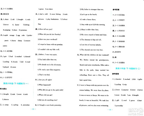 希望出版社2024年春全程检测单元测试卷六年级英语下册人教版A版答案 希望出版社2024年春全程检测单元测试卷六年级英语下册人教版A版答案